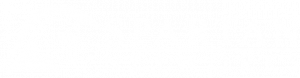 Spartan Networks LLC Logo